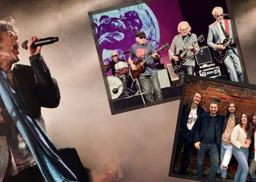 20 Jahre THE STONEZ