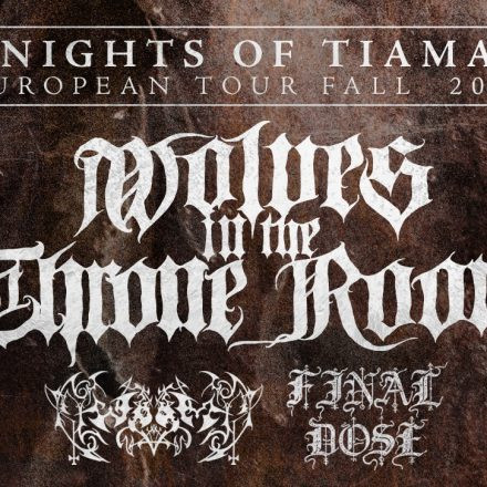 WOLVES IN THE THRONE ROOM