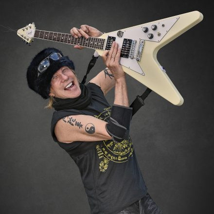 MICHAEL SCHENKER GROUP