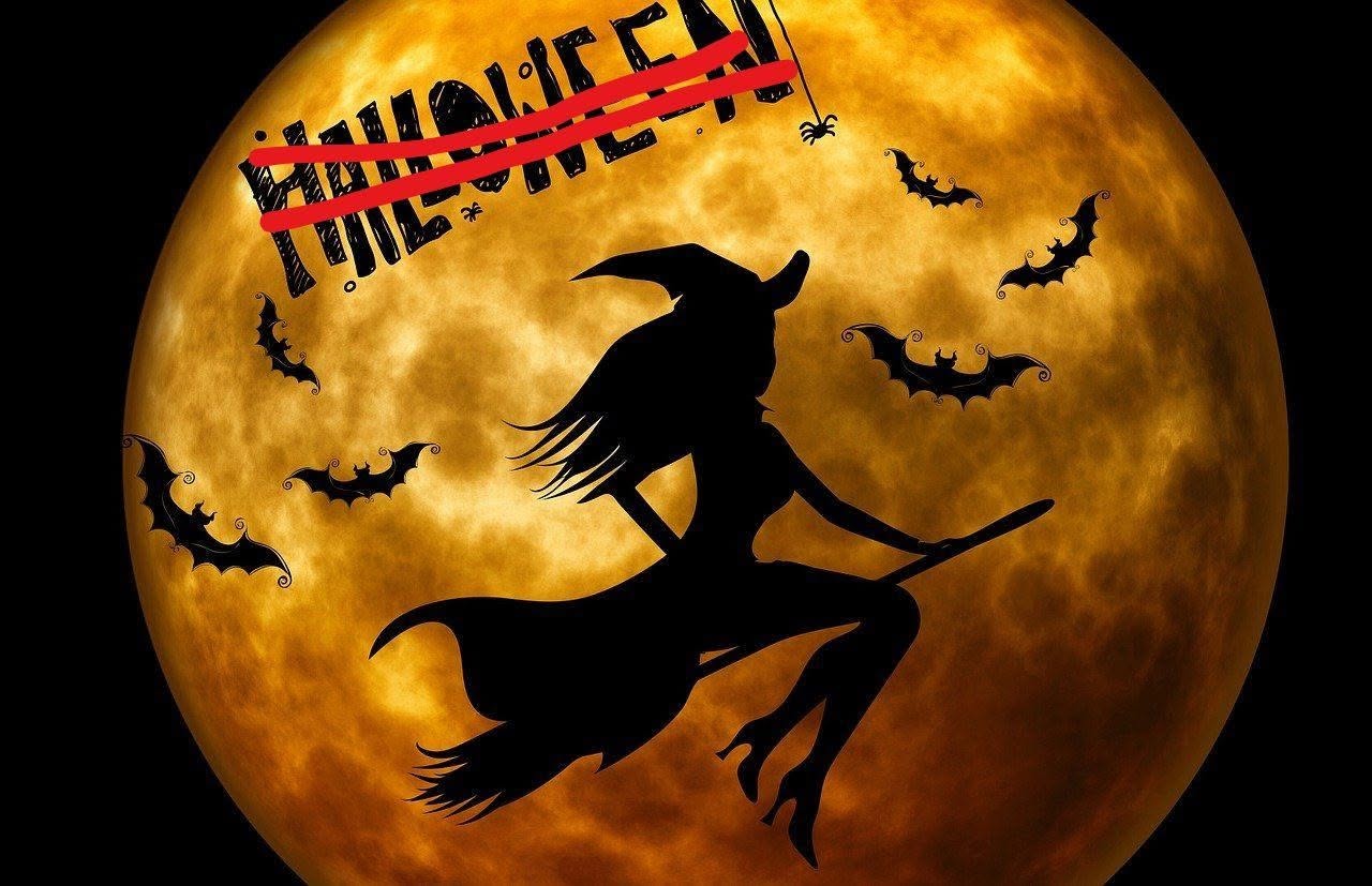 No-Halloween-Party am 31. October 2026 @ Papillon Sauna.