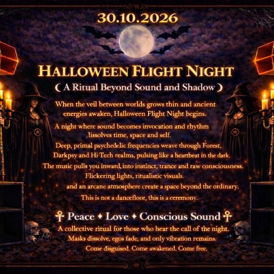 Halloween Night Flight