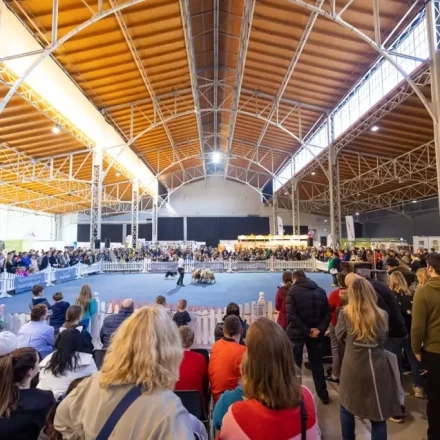 Haustiermesse Wien 2026