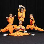 Die Mönche des Shaolin Kung Fu