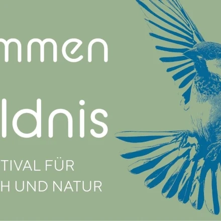 Stimmen Der Wildnis