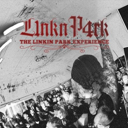 L1NKN P4RK