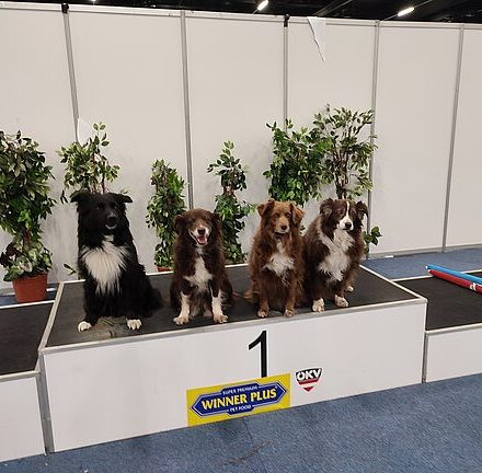 Internationale Rassehundeausstellung