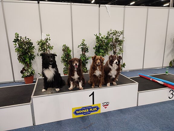 Internationale Rassehundeausstellung am 23. August 2025 @ Messezentrum Salzburg.