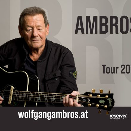 Wolfgang Ambros pur! Vol. VI