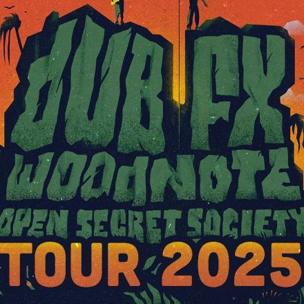 Dub Fx & Mr Woodnote