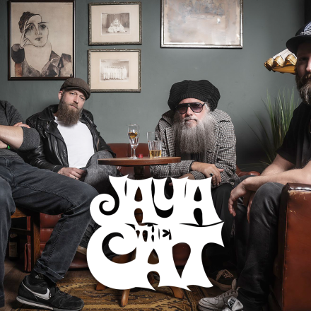 Jaya the Cat
