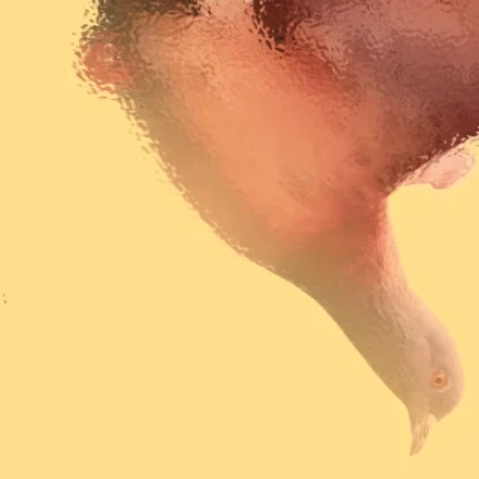 Die Möwe