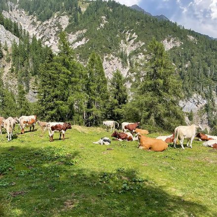 Das pantau-x-WirSindGanzViele-Improvisations-Oakesta on Stage