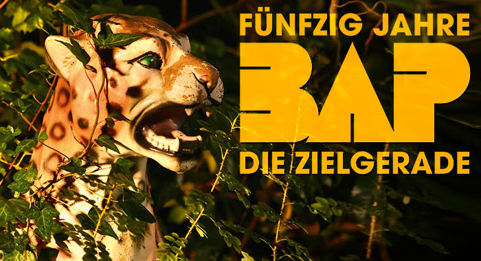 BAP am 4. December 2026 @ Wiener Stadthalle.