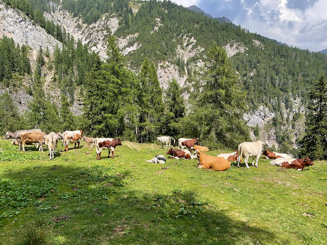 Das pantau-x-WirSindGanzViele-Improvisations-Oakesta on Stage am 10. December 2025 @ OFF Theater. Das pantau-x-WirSindGanzViele-Improvisations-Oakesta on Stage am 10. December 2025 @ OFF Theater.