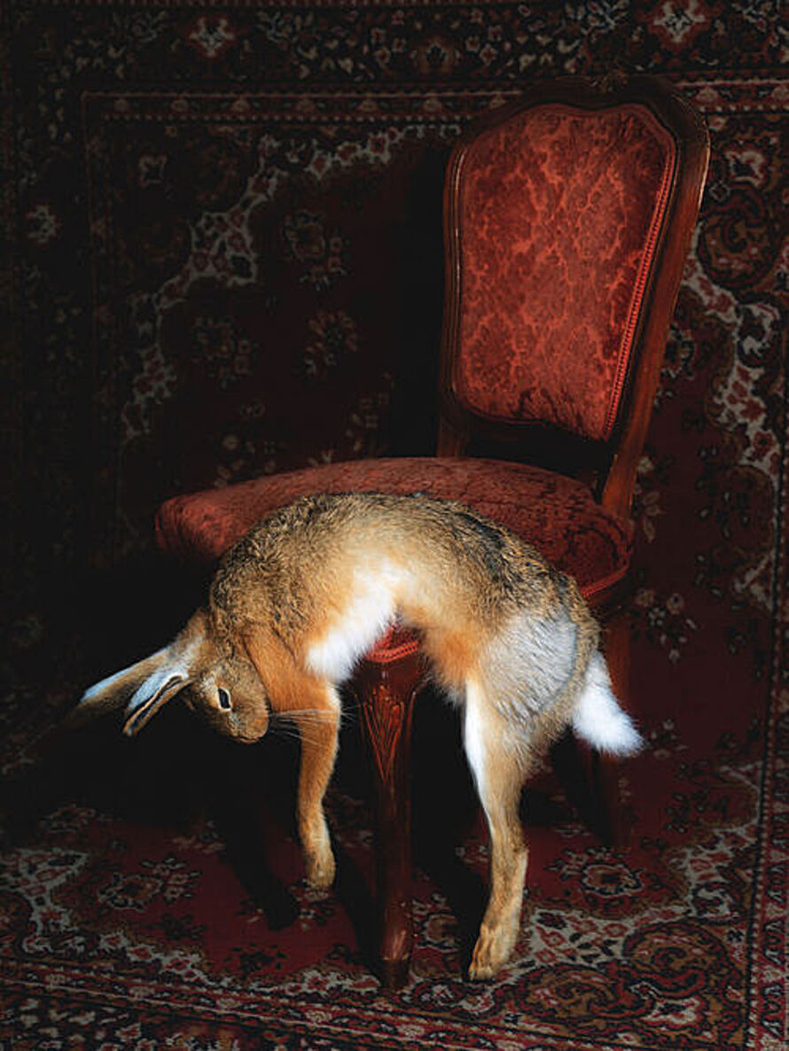 Toxische Pommes am 24. November 2025 @ Stadtsaal Wien. Toxische Pommes am 24. November 2025 @ Stadtsaal Wien.