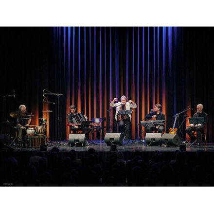 Rosmanith-Bakanic-Berger-Havlicek-Puschnig