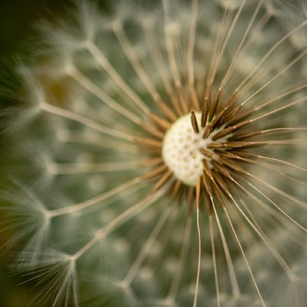 Jazzfrühling 07 Tag 1