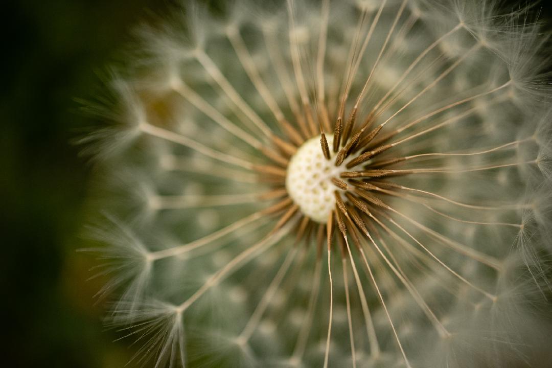 Jazzfrühling 07 Tag 2 am 19. May 2026 @ OFF Theater.