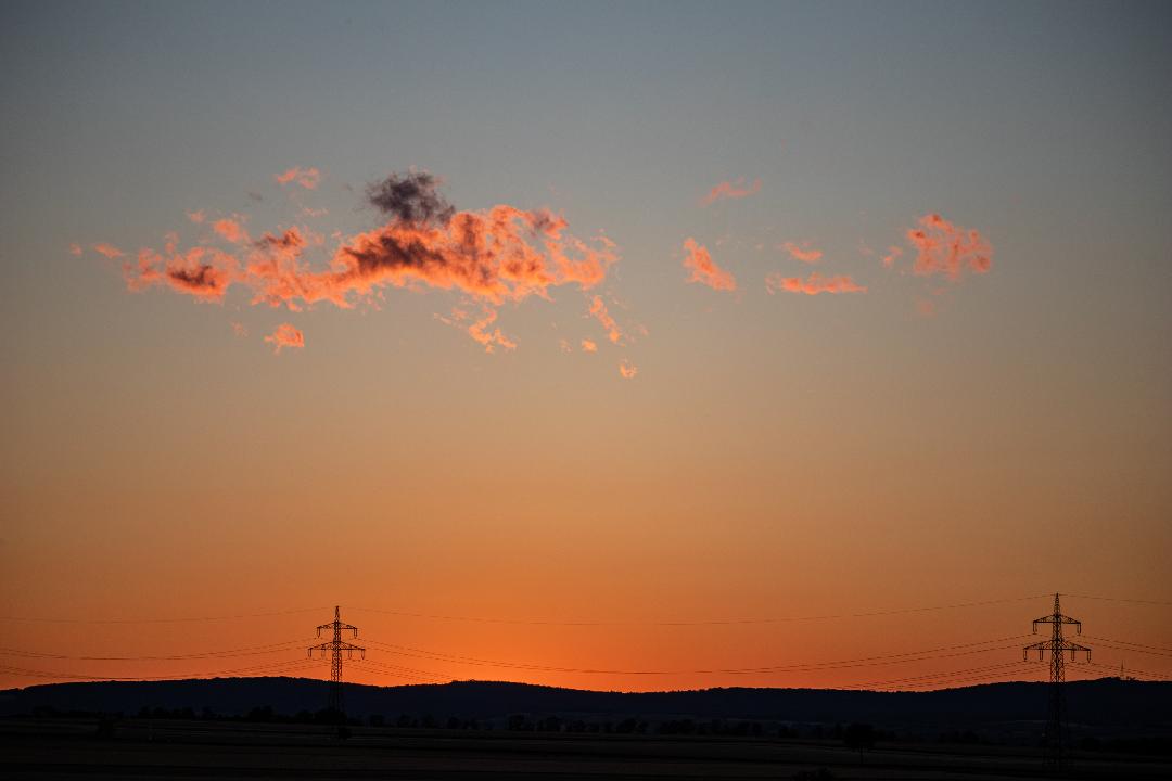 combined worlds am 8. August 2026 @ Schönau8.