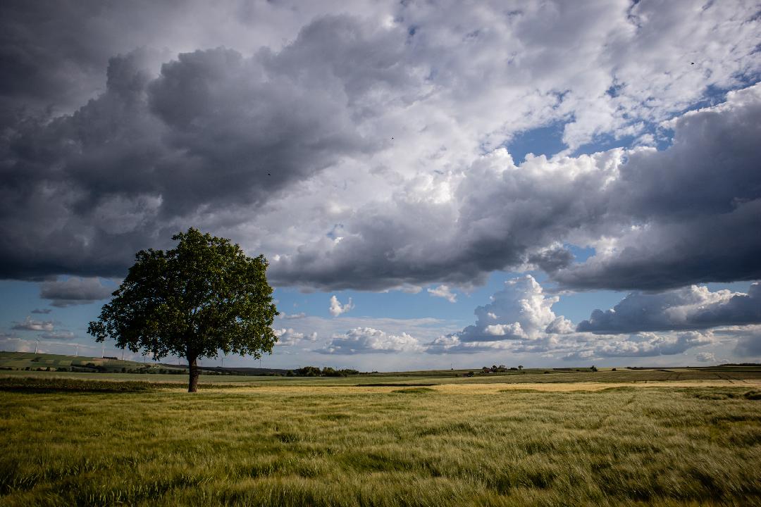 Quantrol Music+ am 21. November 2026 @ RE.KU.RA.