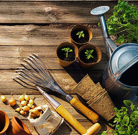 Garten Messe Salzburg 2026