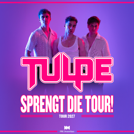 Tulpe
