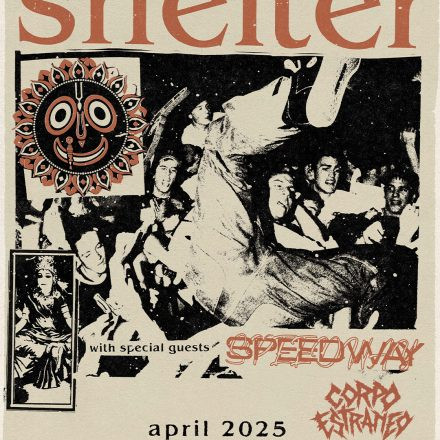 Shelter
