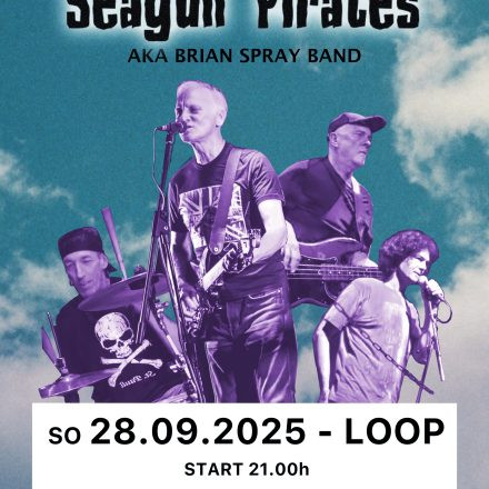 Seagull Pirates