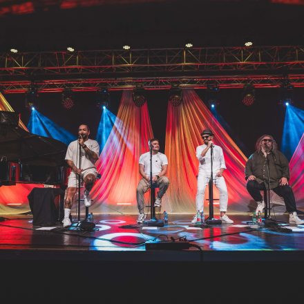 Söhne Mannheims Piano & Austrian Friends