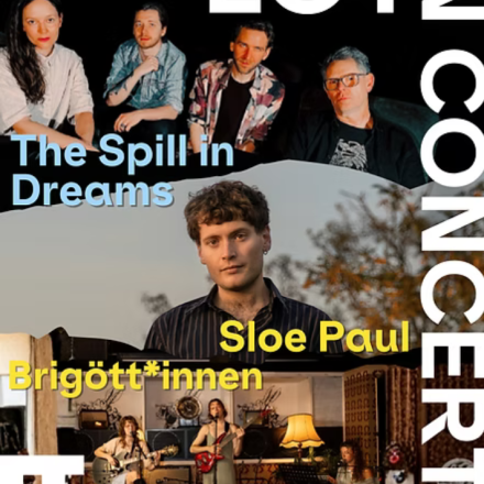 The Spill in Dreams // Sloe Paul / Die Brigött:innen