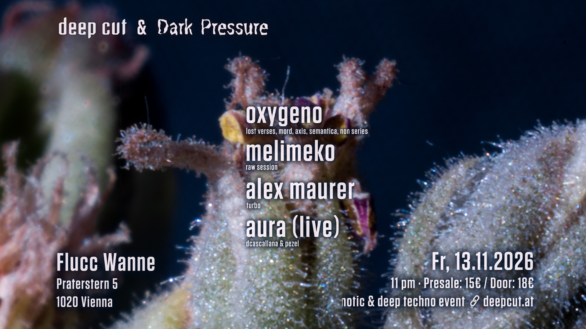 deep cut & Dark Pressure w/ Oxygeno, Melimeko, Alex Maurer, Aura (live) am 13. November 2026 @ Flucc.