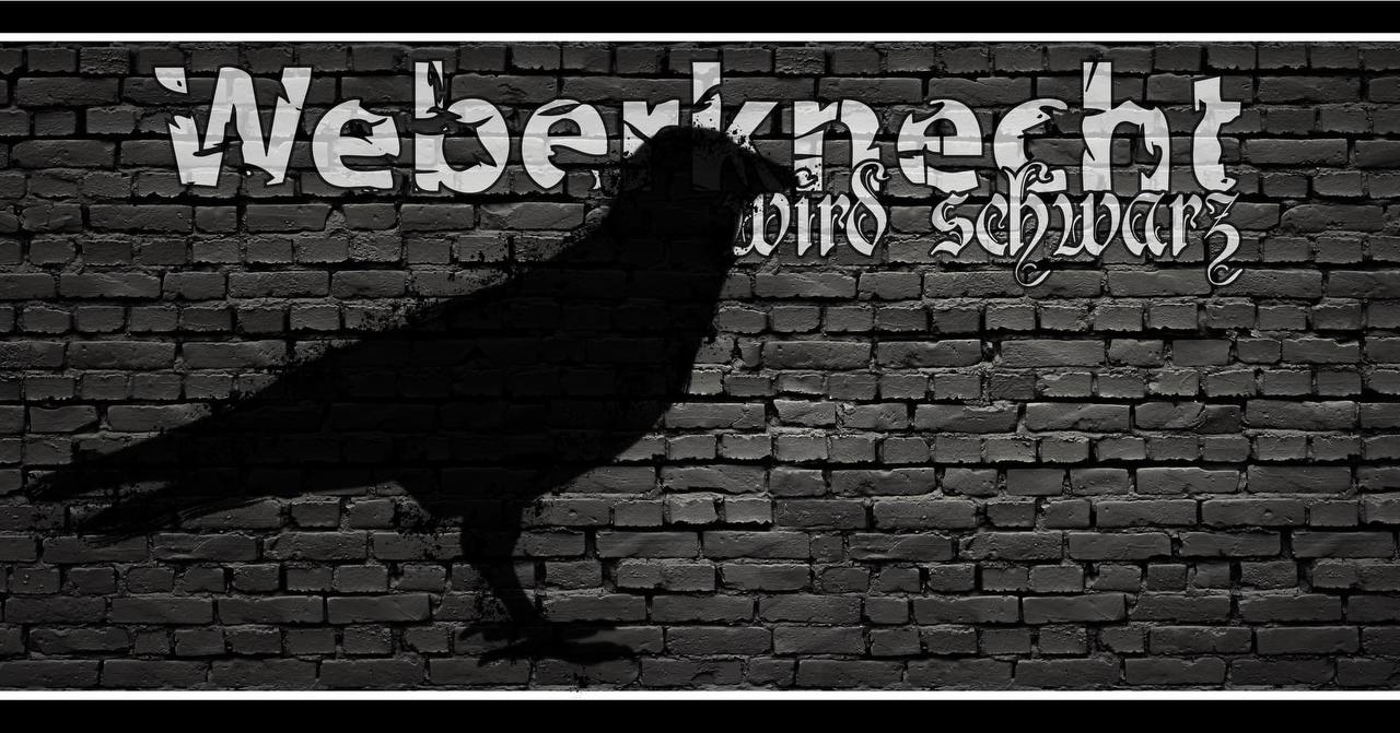 Weberknecht wird schwarz am 3. June 2023 @ Weberknecht. Weberknecht wird schwarz am 3. June 2023 @ Weberknecht.