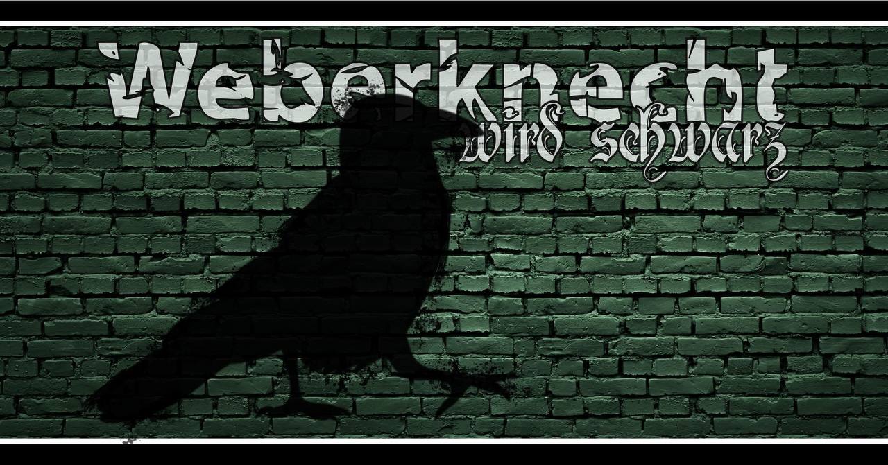 Weberknecht wird schwarz am 24. June 2023 @ Weberknecht.