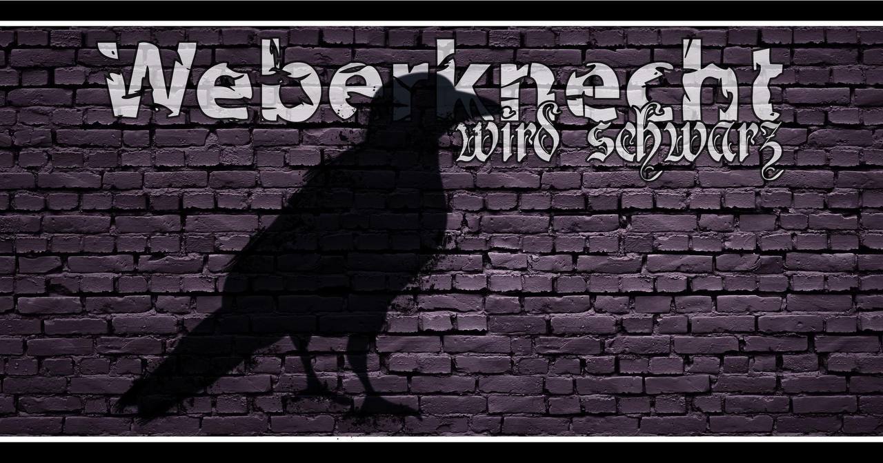 Weberknecht wird schwarz am 28. October 2023 @ Weberknecht.