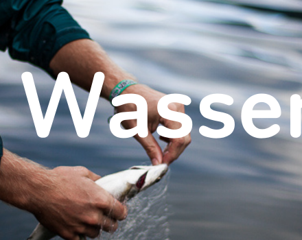 Alles Wasser