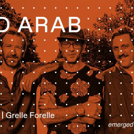 FYI: Acid Arab live (FR)