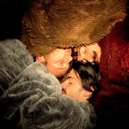 Wenn die Tiere schlafen gehen