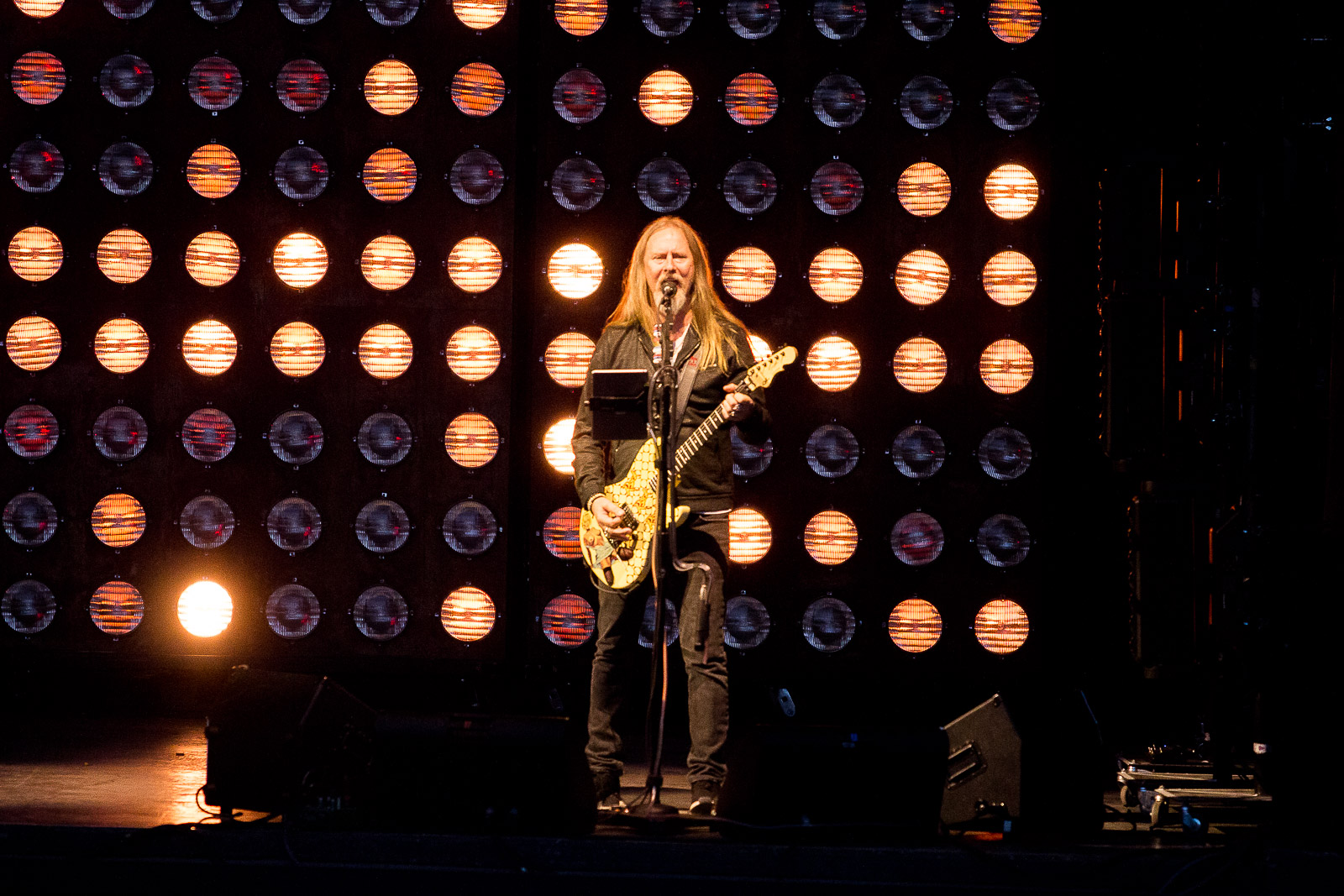 Im Fotoviewer öffnen Alice in Chains @ Arena