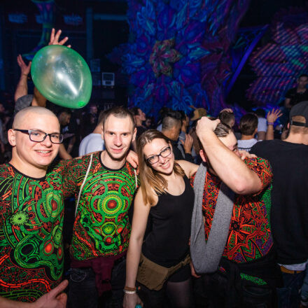 Paradise Winter Festival 2019 @ Hallmann Dome // Freitag