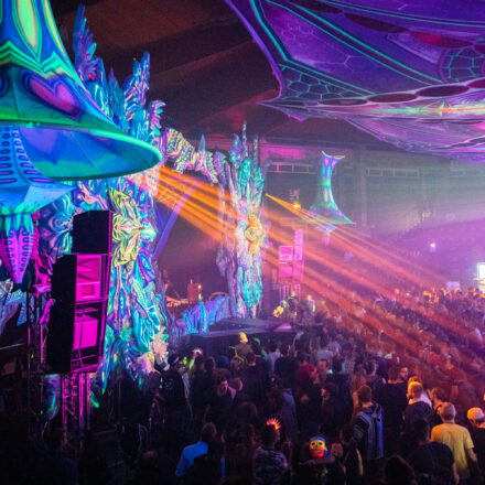 Paradise Winter Festival 2019 @ Hallmann Dome // Freitag