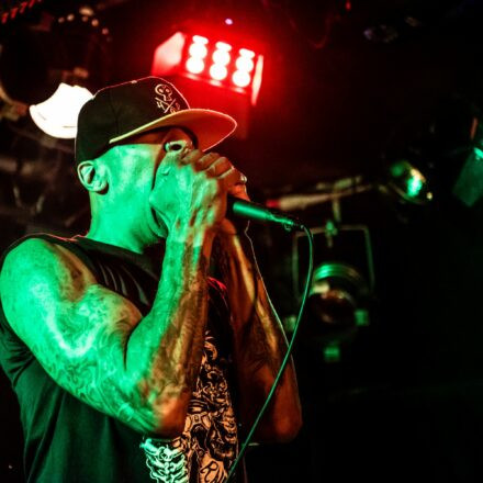 Hed PE / What A Funk / Sphex @ Viper Room