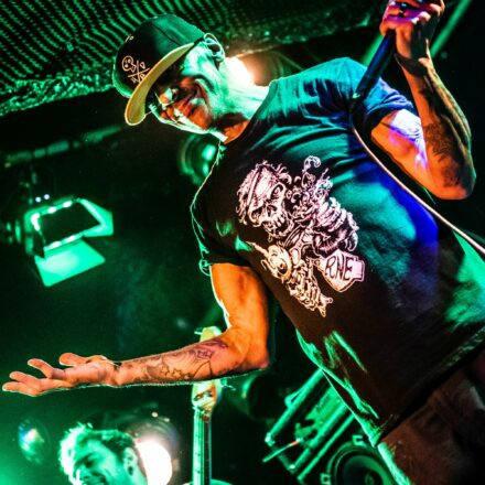 Hed PE / What A Funk / Sphex @ Viper Room