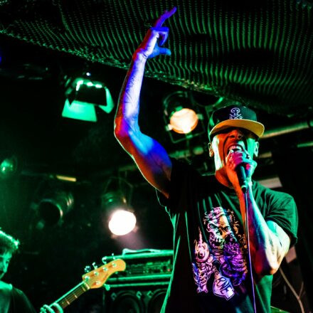 Hed PE / What A Funk / Sphex @ Viper Room