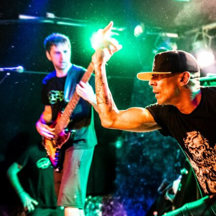 Hed PE / What A Funk / Sphex @ Viper Room