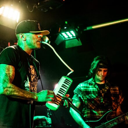 Hed PE / What A Funk / Sphex @ Viper Room