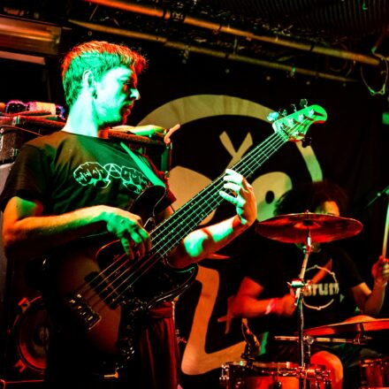 Hed PE / What A Funk / Sphex @ Viper Room