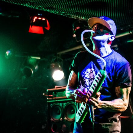 Hed PE / What A Funk / Sphex @ Viper Room