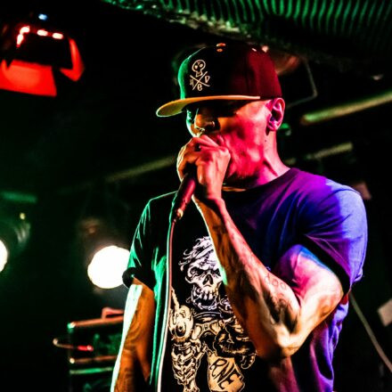 Hed PE / What A Funk / Sphex @ Viper Room