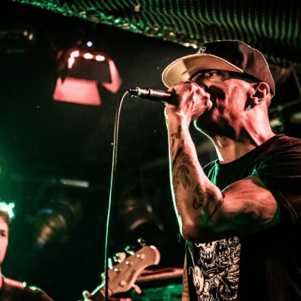 Hed PE / What A Funk / Sphex @ Viper Room