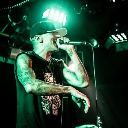 Hed PE / What A Funk / Sphex @ Viper Room